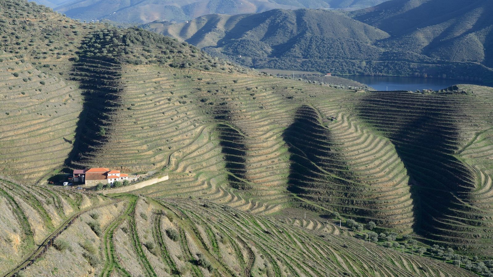 Douro terraces, patamares and a quinta